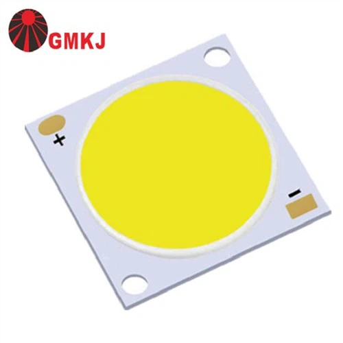 30W COB LED CRI90 for flomlys
