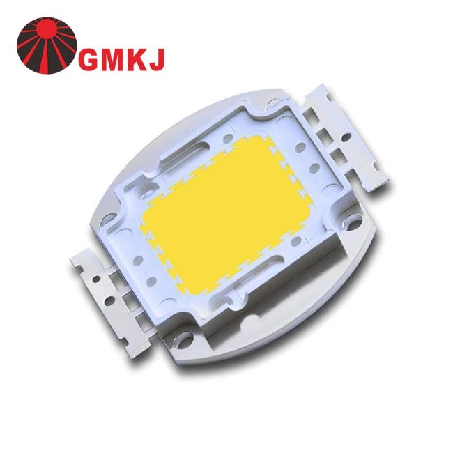 COB 30 Watt LED Chip Light